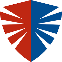 247 SECURITY SOLUTIONS LTD logo
