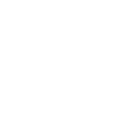 Like Magic logo