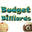 Budgetcues logo