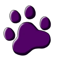 Scotty's Cartoons logo