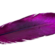 Creativesparrow logo