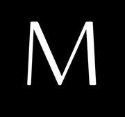 Maccessori logo