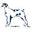 dogmammas.com logo
