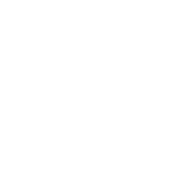 Naturalsolar logo