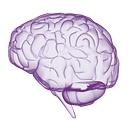 LearningRx Learning Centers logo