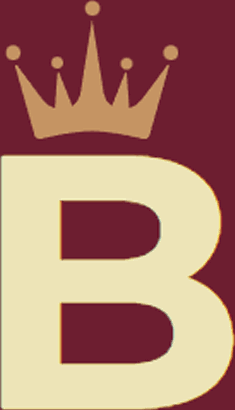 Business Flights Expert logo