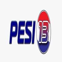 Pesi13 logo