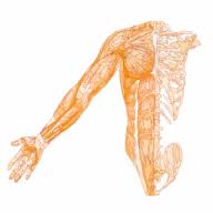 Osteopath Chepstow logo