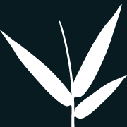 Bambooliving logo