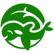 The Little Green Orca logo