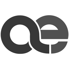 Absolute Endurance logo