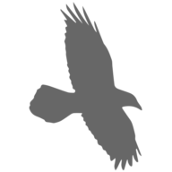 RAVEN5 logo