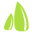 Stokes Seeds logo