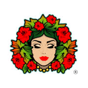 Diva Costumes logo