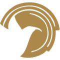 Paradisecopters logo