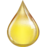 Oil Changers logo