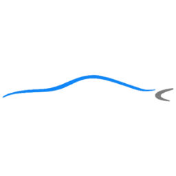 Porsche Specialist Services logo