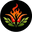 D&S Homemade Shito logo