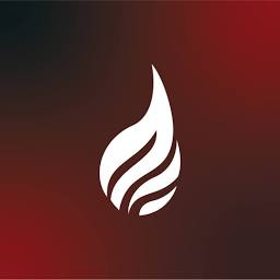 Ignis Scaling logo