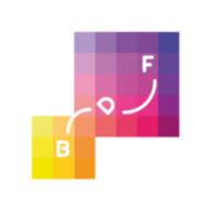 Big Digital Fish logo