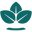 Nature Spell logo