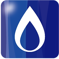 Proton Engineering Services logo
