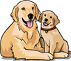 My Golden Retriever Puppies logo