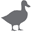 duckys.com logo
