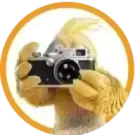 Burddy logo