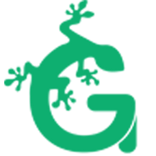 GeckoCustom logo