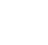 Acorn Audio logo