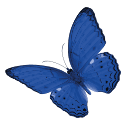 Care Dynamics Yorkshire Limited logo
