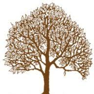 Undertheoakglamping logo