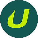 healthscholars.com logo