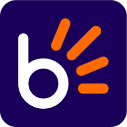 bidorbuy logo