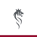 st-group logo