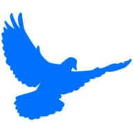 Thewhitefeatherco logo