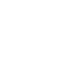 Website Development LLC logo