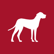 Karndean Designflooring logo