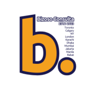 Bizoso Consulta logo