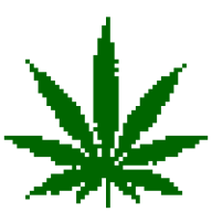 CBD Oil Scotland logo
