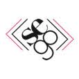 Sego Store logo