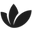 Eufora logo