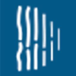 Derma Institute logo