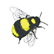 Buttle's plc logo