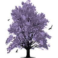 Jacarandahousebandb logo