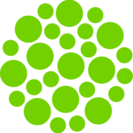 chameleontechnology.co.uk logo