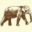 Elephant Hills logo
