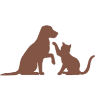 Embark On Raw logo