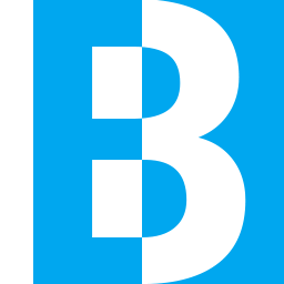 Brainxl logo